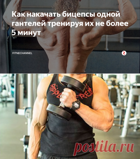 Как накачать бицепсы одной гантелей тренируя их не более 5 минут | fitnechannel | Яндекс Дзен