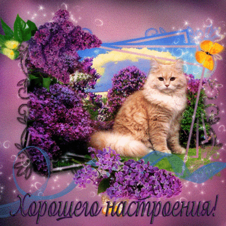 Фотографии • ДЛЯ МОИХ ДРУЗЕЙ!!! | 5037 фото | Группы Мой Мир