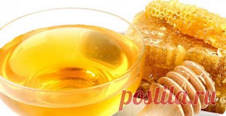Коллекция медов - Полезная информация - Тенториум Самара. Продукты пчеловодства.