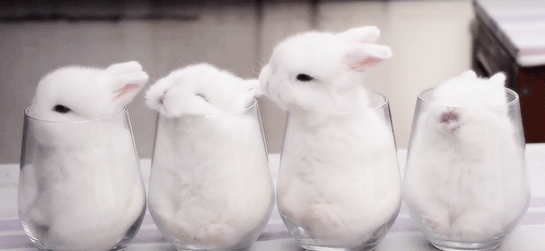 Tumblr