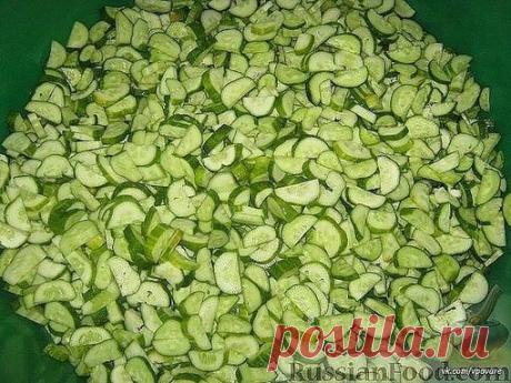 Дачники-Огородники