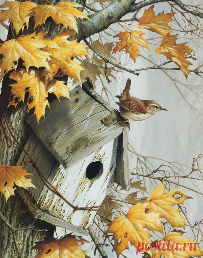 Картины Живой природы. Птицы (109 работ) » Страница 3 » Картины, художники, фотографы на Nevsepic