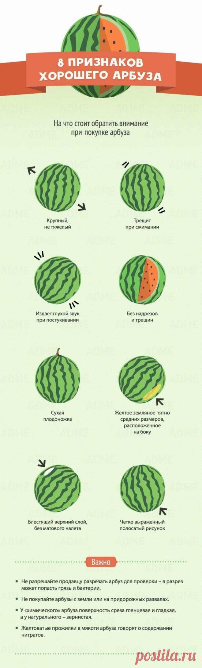 Как опознать хороший арбуз / Домоседы