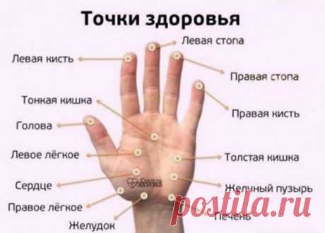 Точки здоровья на ладонях / Будьте здоровы
