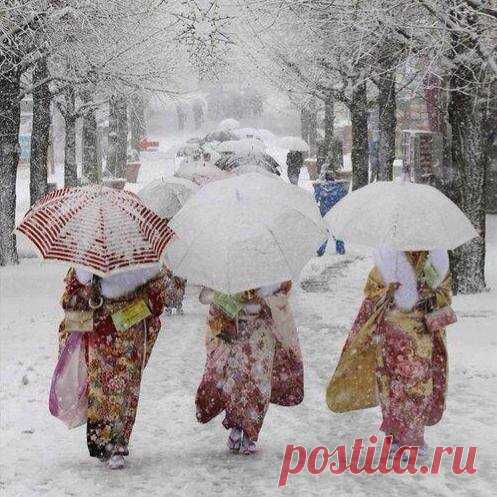 Snowfall in Kyoto #Japan — с Alejandra Errani. Facebook