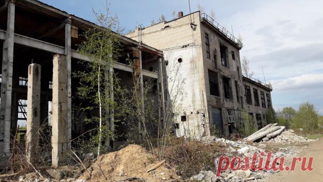 Россия - военный завод! | North Wind | Яндекс Дзен