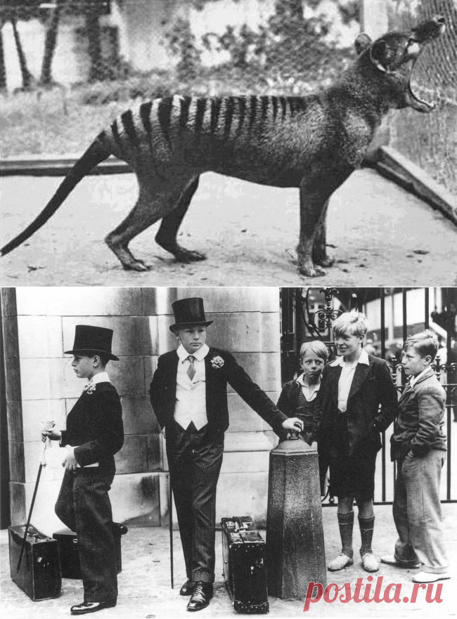 Пост действительно редких снимков