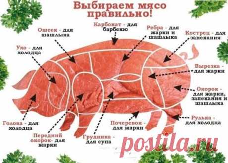 Свинину можно приготовить самыми разными способами жарить, тушить, варить, запекать или готовить на открытом огне. Чтобы не ошибиться с выбором мяса для вашего блюда сохраните себе эту схему.