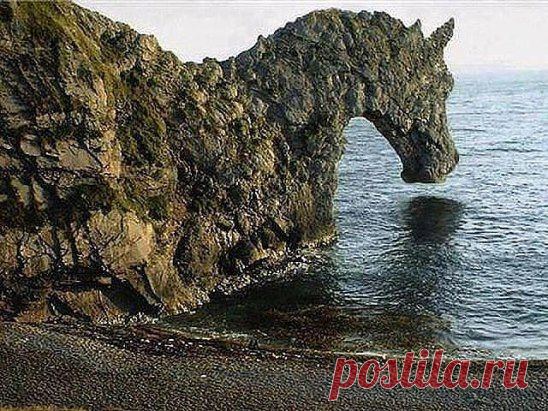 Чудо  природы