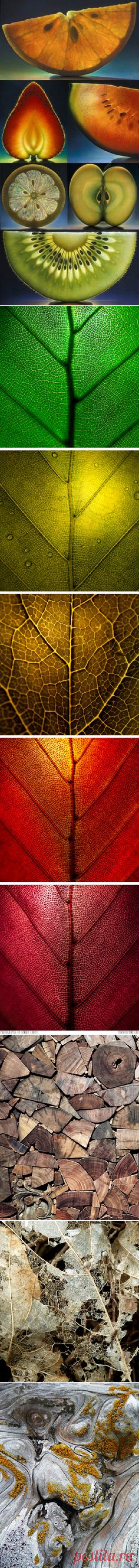 (7) Private Architecture | by DSGNbook™ | Inspiration