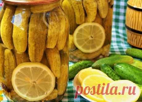 Соленые хрустящие огурцы в банках на зиму - простые и супер вкусные рецепты