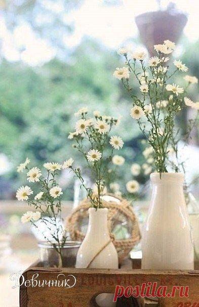 9tYulfjiato.jpg (393×604)