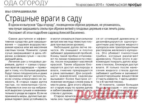 Как лечить раны плодовых деревьев