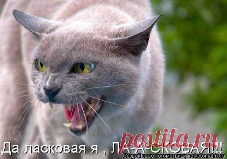 Ведара *** - Москва, Россия на Мой Мир@Mail.ru