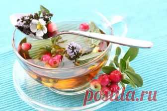 Самые вкусные травы для чая Загрузка... [ad#content] Чайные травы — это те травы, которые приятны на вкус при заварке. У растения могут быть использованы листья, веточки, [...]