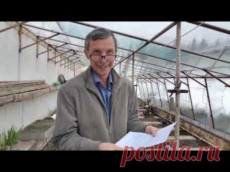 Разносим блогеров! Миф о питательном грунте для рассады. Пересадка томатов на постоянное место.