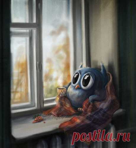 Совушка
