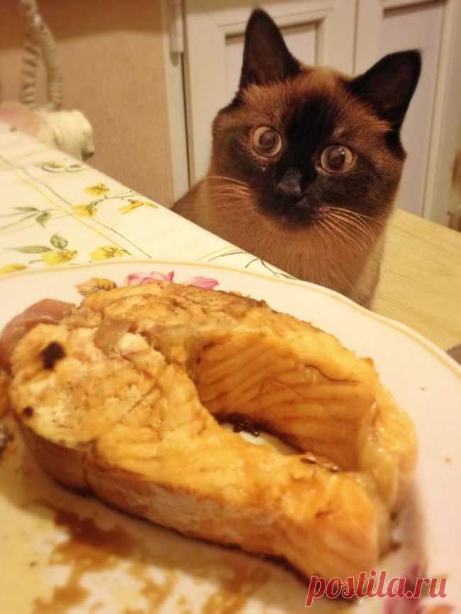хх
