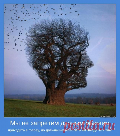 БЕСПЛАТНЫЙ КУРС!!!  Чтобы преуспеть как дистрибьютор, жизненно важно учиться, применять на практике и совершенствовать умение быть:
- сильным учителем;
- сильным лидером;
- сильным тренером.