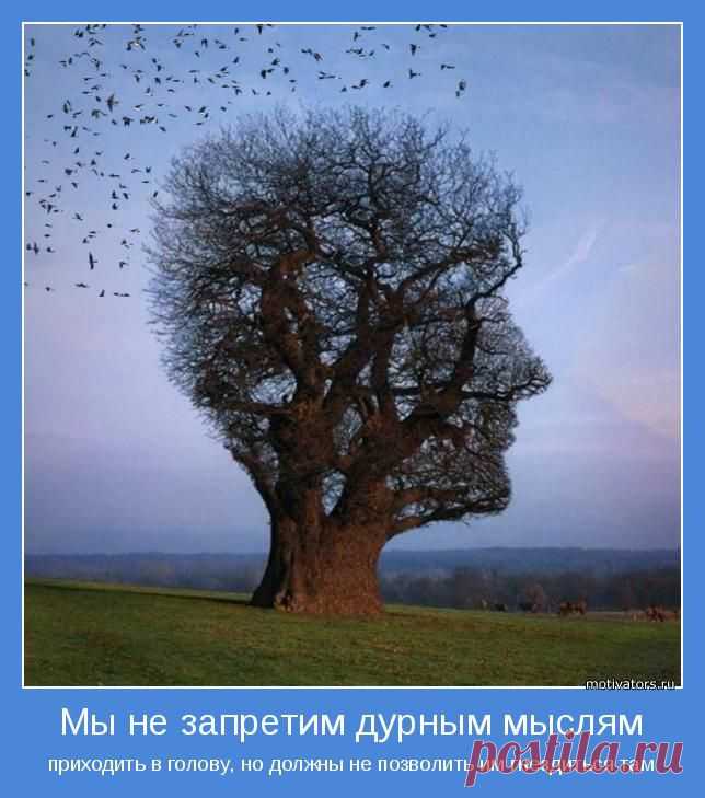 БЕСПЛАТНЫЙ КУРС!!!  Чтобы преуспеть как дистрибьютор, жизненно важно учиться, применять на практике и совершенствовать умение быть:
- сильным учителем;
- сильным лидером;
- сильным тренером.
