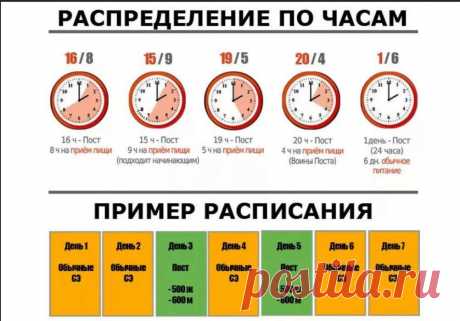 Отзывы об интервальном голодании 16 8