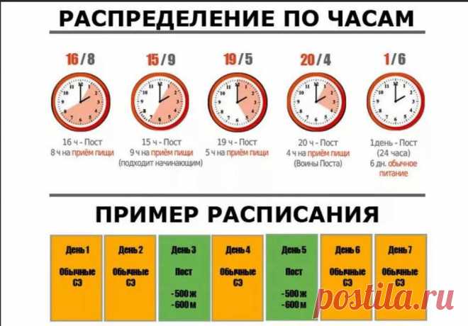Отзывы об интервальном голодании 16 8