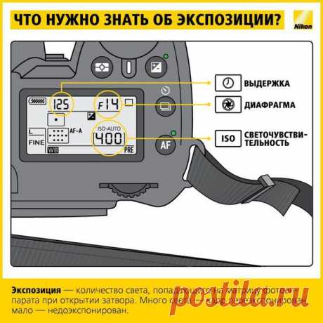 Учимся фотографировать: работа с экспозицией. | Хитрости Жизни