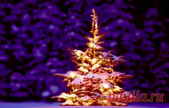 Обои Happy, 2015, ель, golden, Ёлочка, New Year, Christmas tree, елка, fireworks, Новый год, Рождество, Ёлка, год козы картинки на рабочий стол, раздел новый год - скачать