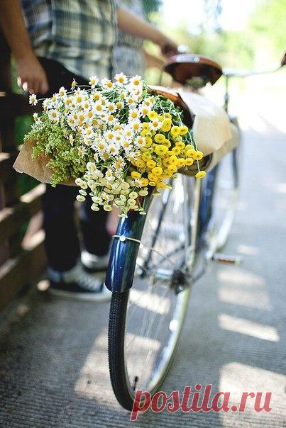 Берите будущее, пока оно ваше, и думайте не о том дурном, что вами когда-то сделано, а о том хорошем, что вы еще можете сделать.

Этель Лилиан Войнич ''Овод''