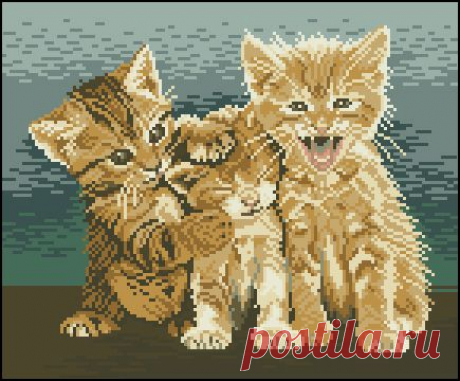 Trio of Cats