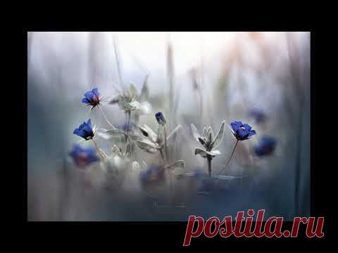 Спикерская Кэрен. АП (Анонимные переедающие). Тема: 