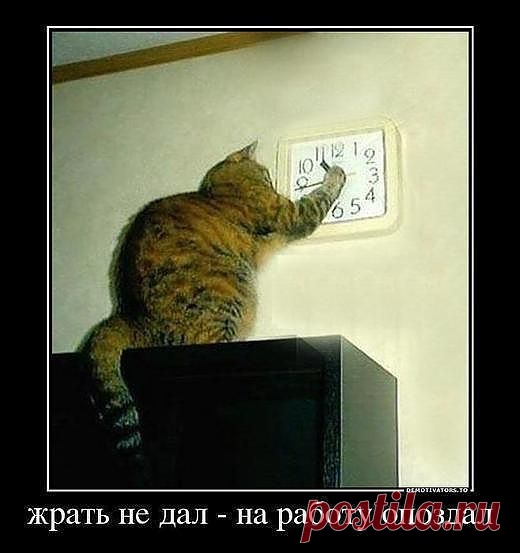 Группа: Улыбка до ушей