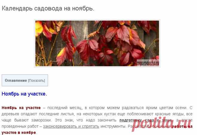 Календарь садовода на ноябрь.