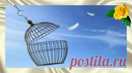 Путь свободы. Учение Толтеков