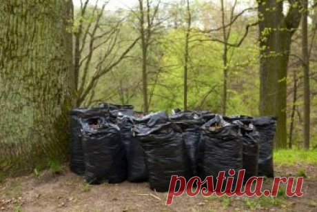 Быстрый компост в мешках: осенью закладываем, а весной вносим на грядки | Удобрения и стимуляторы (Огород.ru)