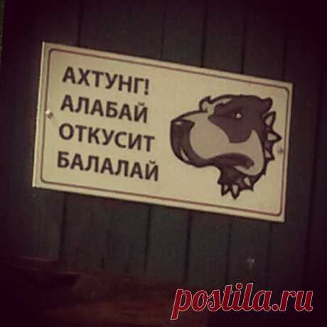 Угрожающие объявления, правдивость которых не хочется проверять / Всё самое лучшее из интернета