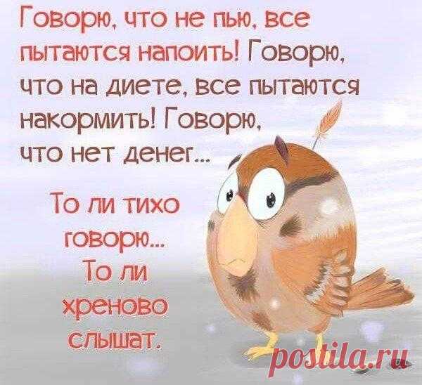 Правда Жизни | Юмор, Мотивация, Сарказм, Цитаты