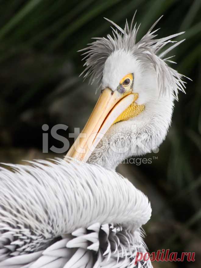 страницы которые создавались константина валерьевича сосницкого краснодар: 10 тыс изображений найдено в Яндекс.Картинках