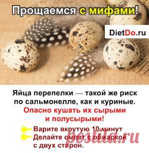 Перепелиные Яйца: Узнаем Правду! Состав, сравнение с куриными, польза, вред и как принимать