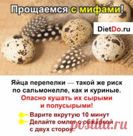 Перепелиные Яйца: Узнаем Правду! Состав, сравнение с куриными, польза, вред и как принимать