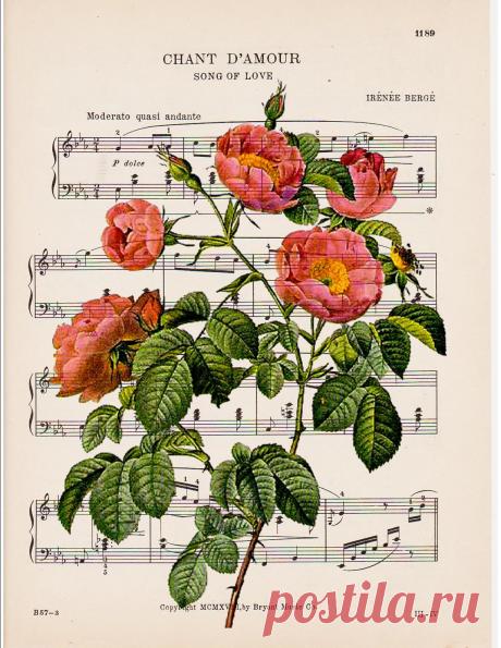 Принты на нотных листах.