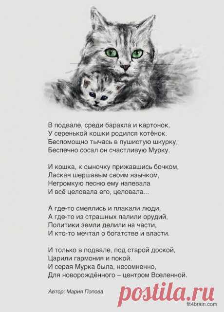 «В подвале, среди барахла и картонок…»
