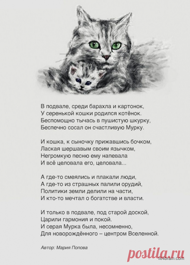 «В подвале, среди барахла и картонок…»