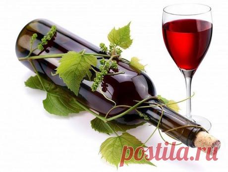 Как вылечить бронхит... за одну ночь?

Чтобы избавиться от бронхита за одну ночь, вылейте 1 стакан белого или красного сухого вина в небольшую эмалированную кастрюлю и поставьте на огонь. Всыпьте на кончике ножа корицу, цедру лимона или апельсина, гвоздики, травы душицы или мелиссы, один лавровый лист. Когда вино начнет закипать, снимите с огня, процедите. Добавьте 1 стол. ложку меда, хорошо перемешайте и в горячем виде выпейте. После этого - сразу же в постель.
Если в ква...