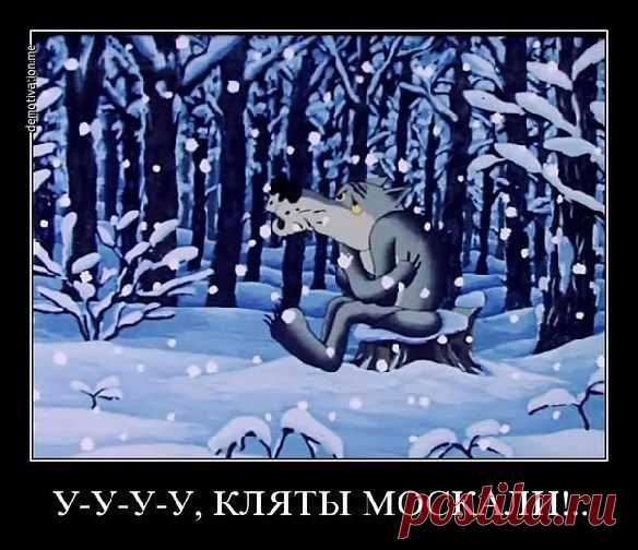 Мой Мир@Mail.Ru