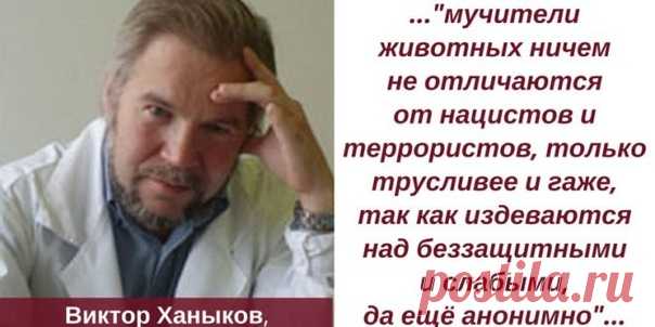 Доклад Ханыкова Виктора Владимировича, судебного психиатра

19.11.2016 Зоофорум «Pro3оо» Доклад Ханыкова Виктора Владимировича, судебного психиатра, врача-психиатра высшей категории Федерального МИЦПН им. Сербского

Проблема жестокости к животным на вид не столь важная, по сравнению с экономическими, дорожными, коррупционными и другими острыми современными вопросами.

Но степень защиты братьев меньших – один из важнейших измерителей нравственности общества, наряду с отноше...