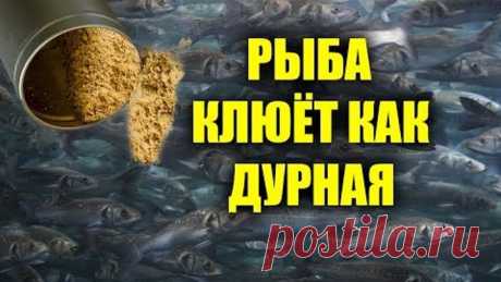 СПЕЦИИ ДЛЯ РЫБАЛКИ, СОБЕРУТ ВСЮ РЫБУ ЕСЛИ СДЕЛАТЬ С НИМИ ПРИКОРМКУ, СВОИМИ РУКАМИ