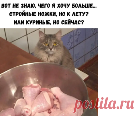 Выпуск №7004 - выпуск анекдотов сайта вокруг смеха