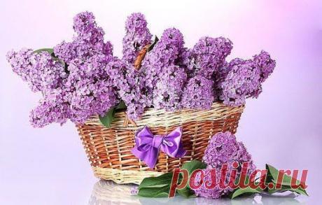 Для Тебя! 
Вам букетик на страницу, ПРИСОЕДИНЯЙТЕСЬ в группу☛☛ ok.ru/bestgift