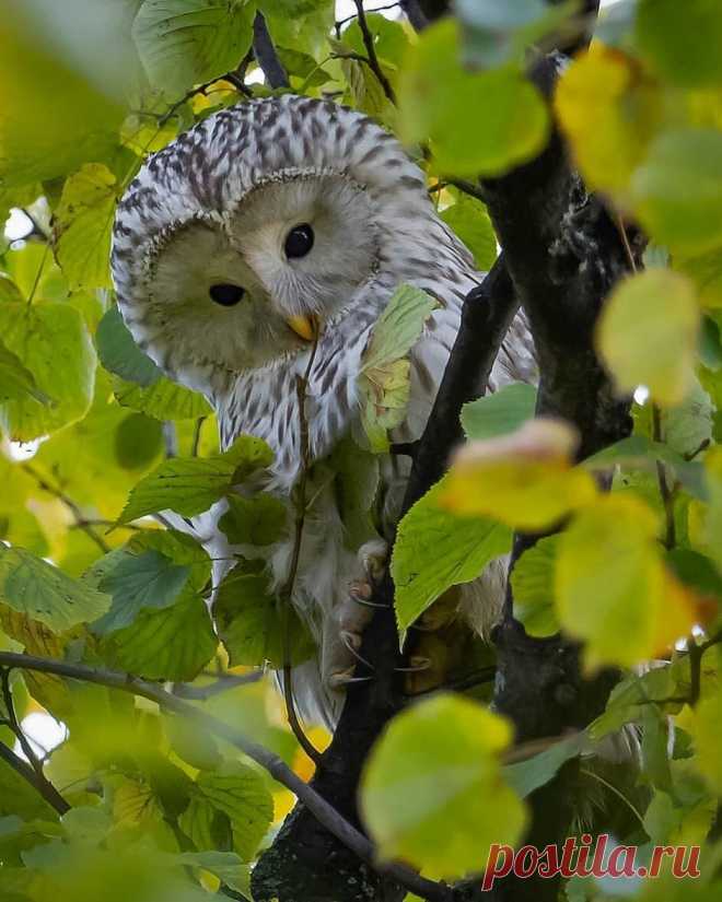i (942×1178)